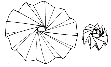 Membrane Wrapping Pattern